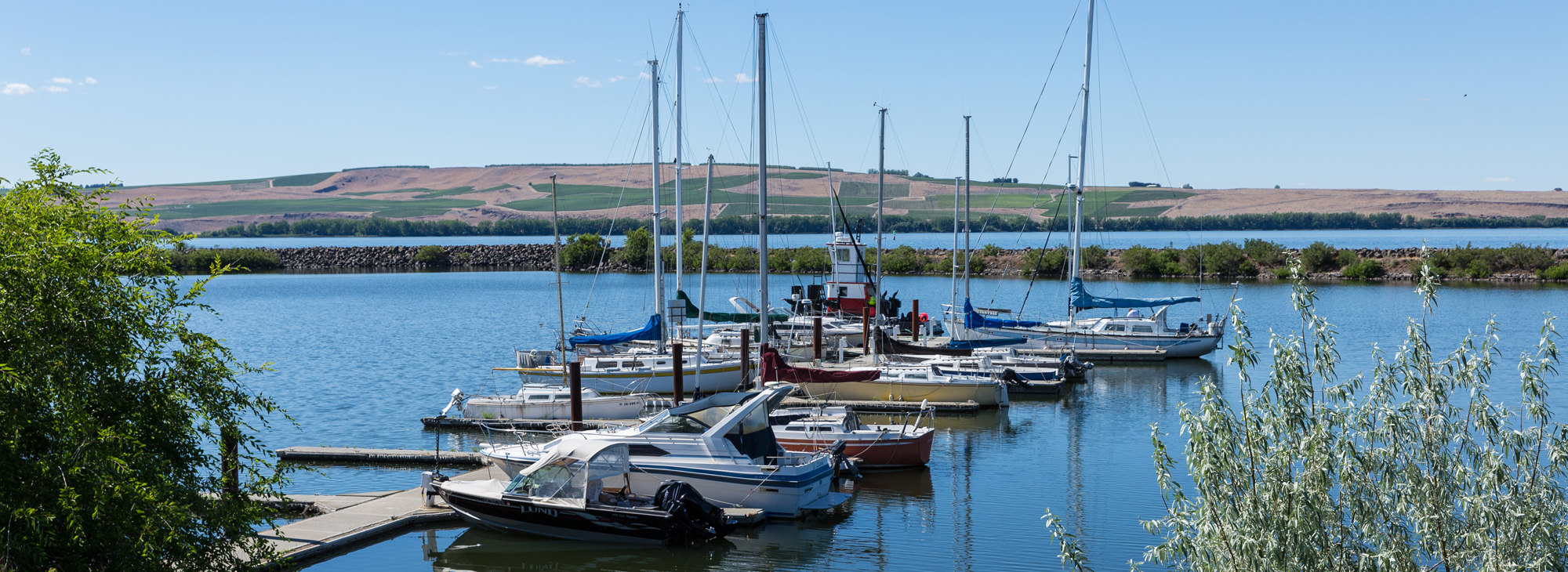 Top ISO 9001 Consultant in Boardman, Oregon (OR)